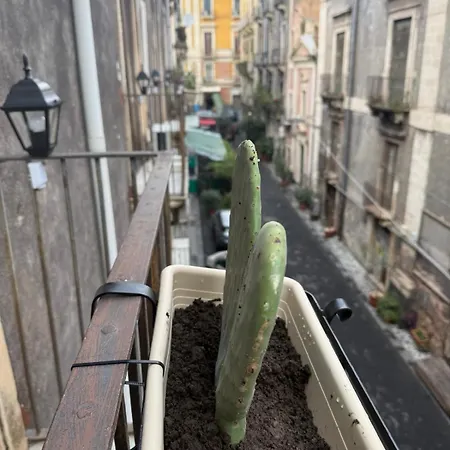 Bed & Breakfast Antica Sicilia And Breakfast Catania