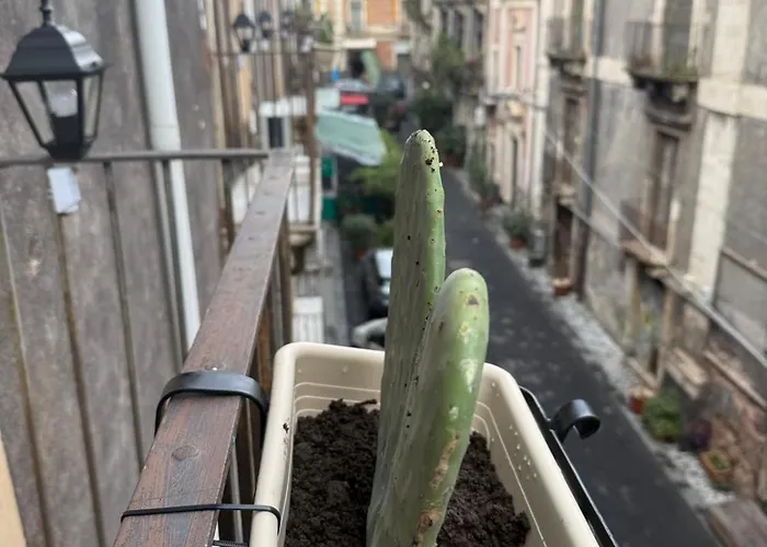 Nocleg ze śniadaniem Antica Sicilia And Breakfast Katania